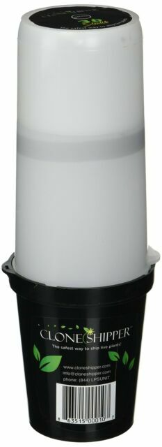 Clone Shipper CSU0001 Plastic Plant