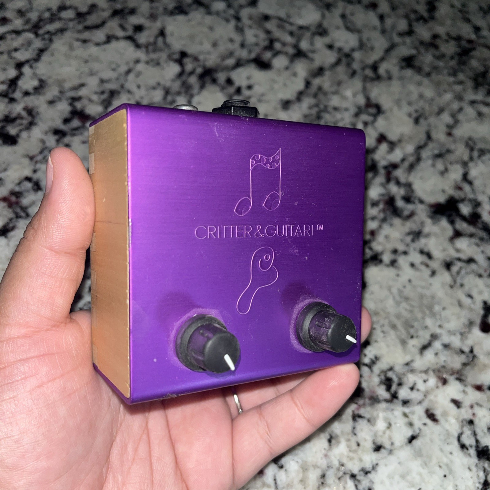 Critter Guitari Rhythm Scope Video Synthesizer Pattern Generator Tested Cable