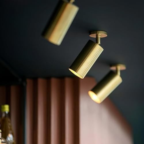 LED Ceiling Spotlight Adjustable Spotlight Directional Spot Lights Indoor