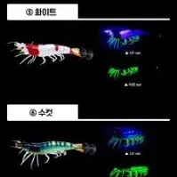 Kuroshio Odoripin for Sea Fishing 12,600 won 1+2 Official