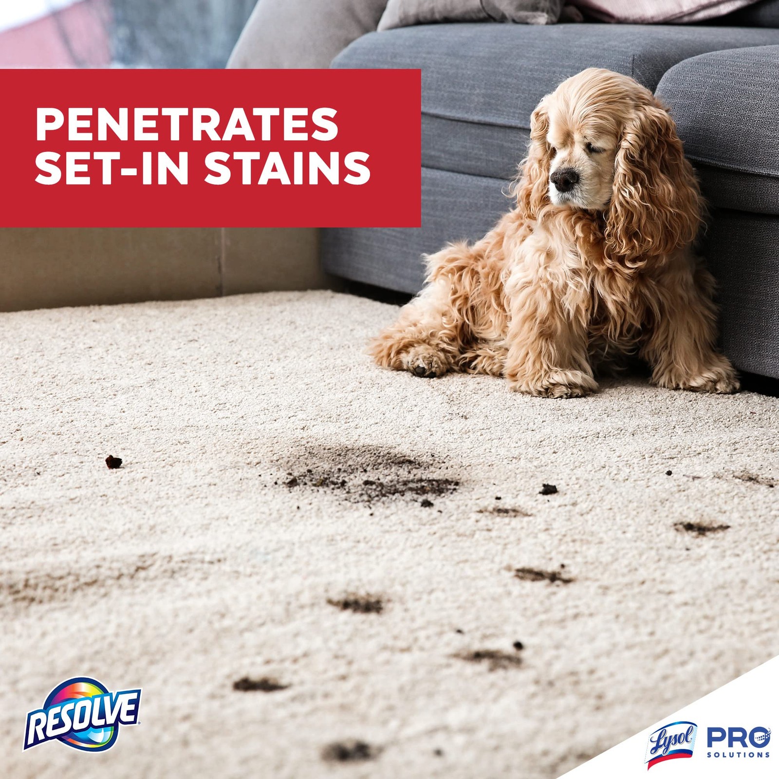 Resolve Professional Strength Spot and Stain Carpet Cleaner Solution, 32 oz