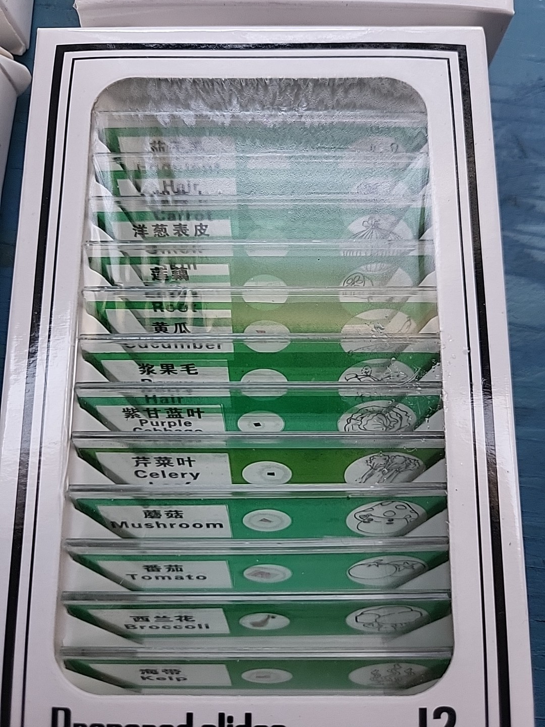 Lot Of 48 Prepared Microscope Slides