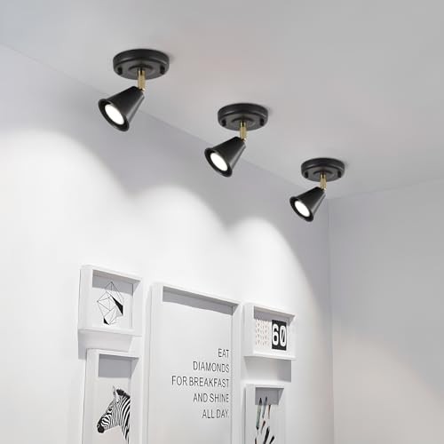 Modern Flush Mount Ceiling Spot Light, Adjustable Directional 1 light (2 pack)