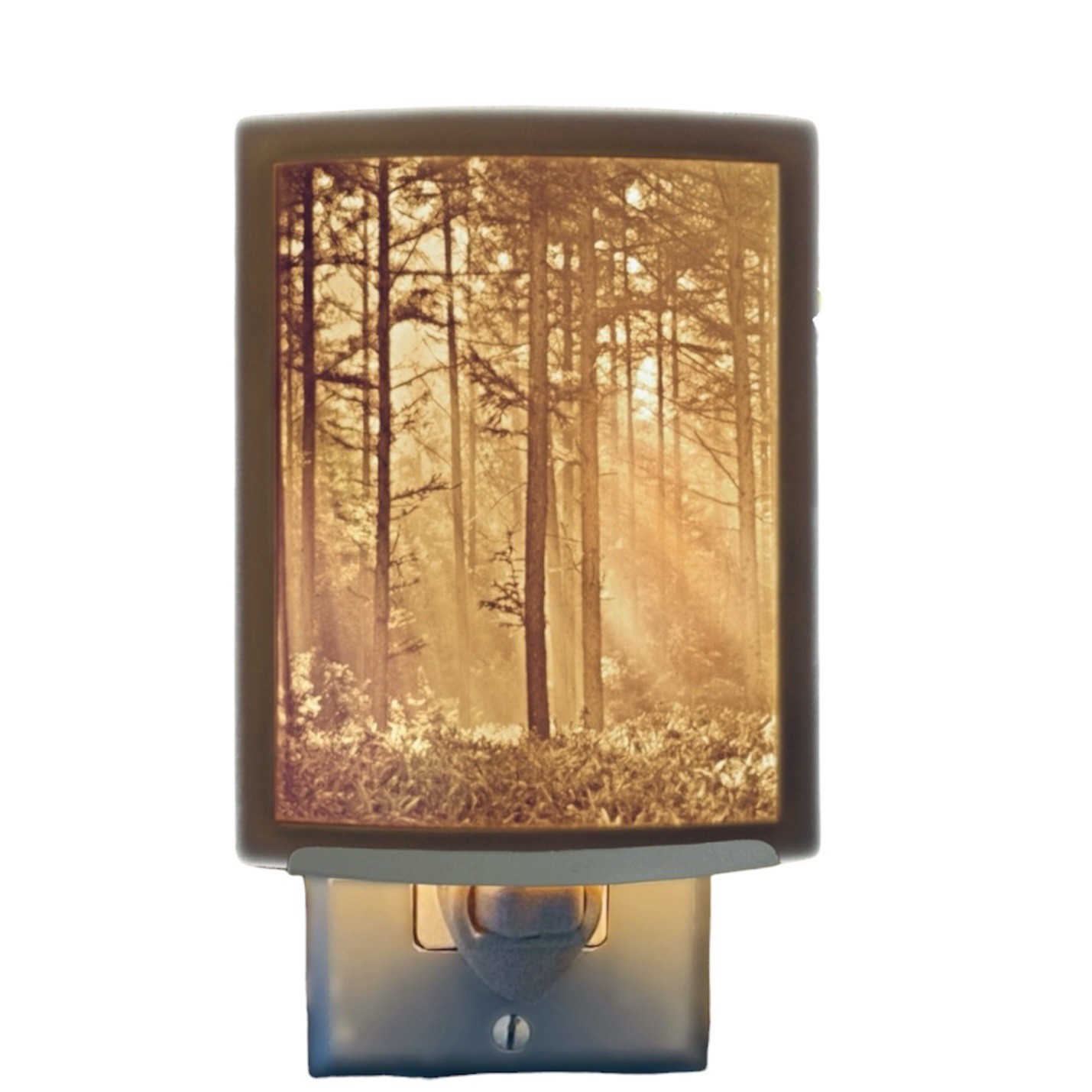 The Porcelain Garden Lithophane Night Light “Woodland Sunbeams” Curved Porcelain
