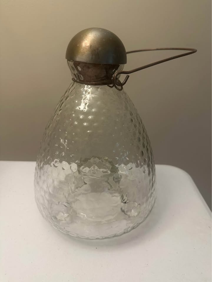 Glass Wire Hanger Wasp Fly Catcher Trap Lantern