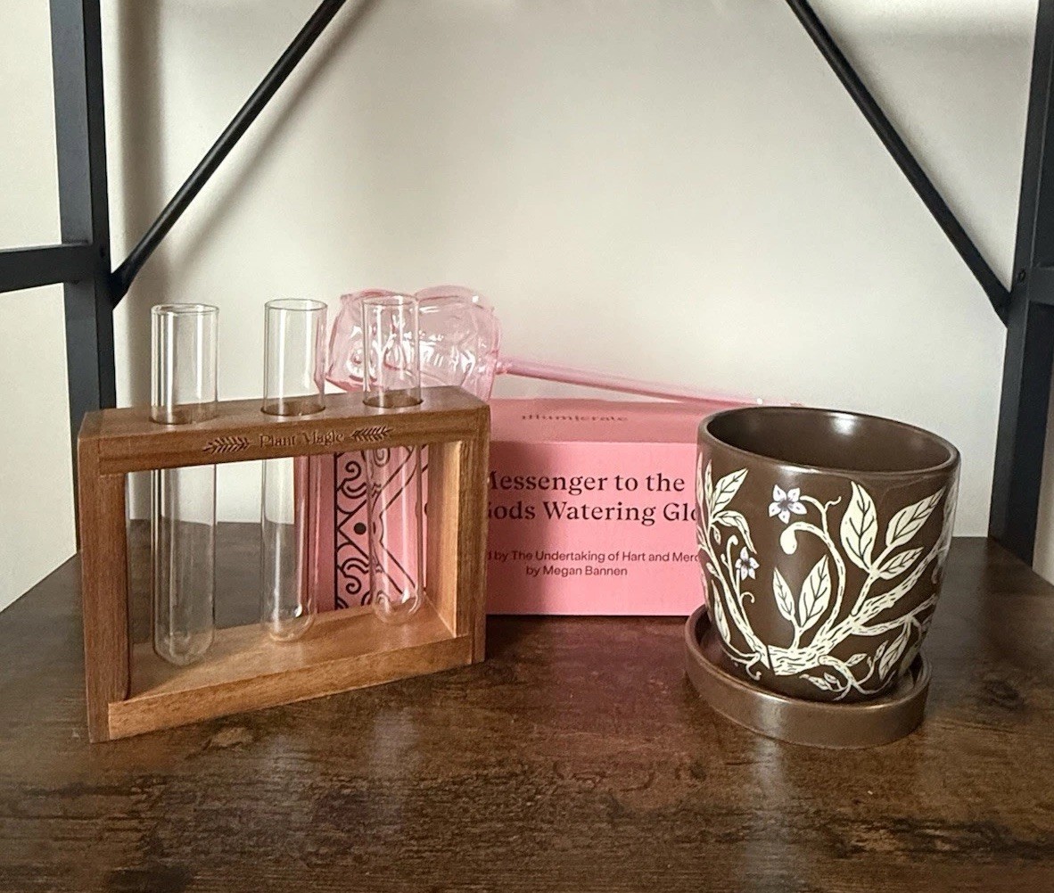 Bookish Plant Bundle; LitJoy Crate, Illumicrate, and FairyLoot Items