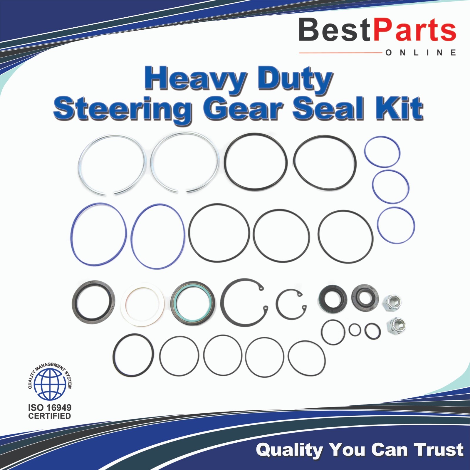 Heavy Duty Gear Seal Kit for SAGINAW Dual Piston, Model 710, 83-90