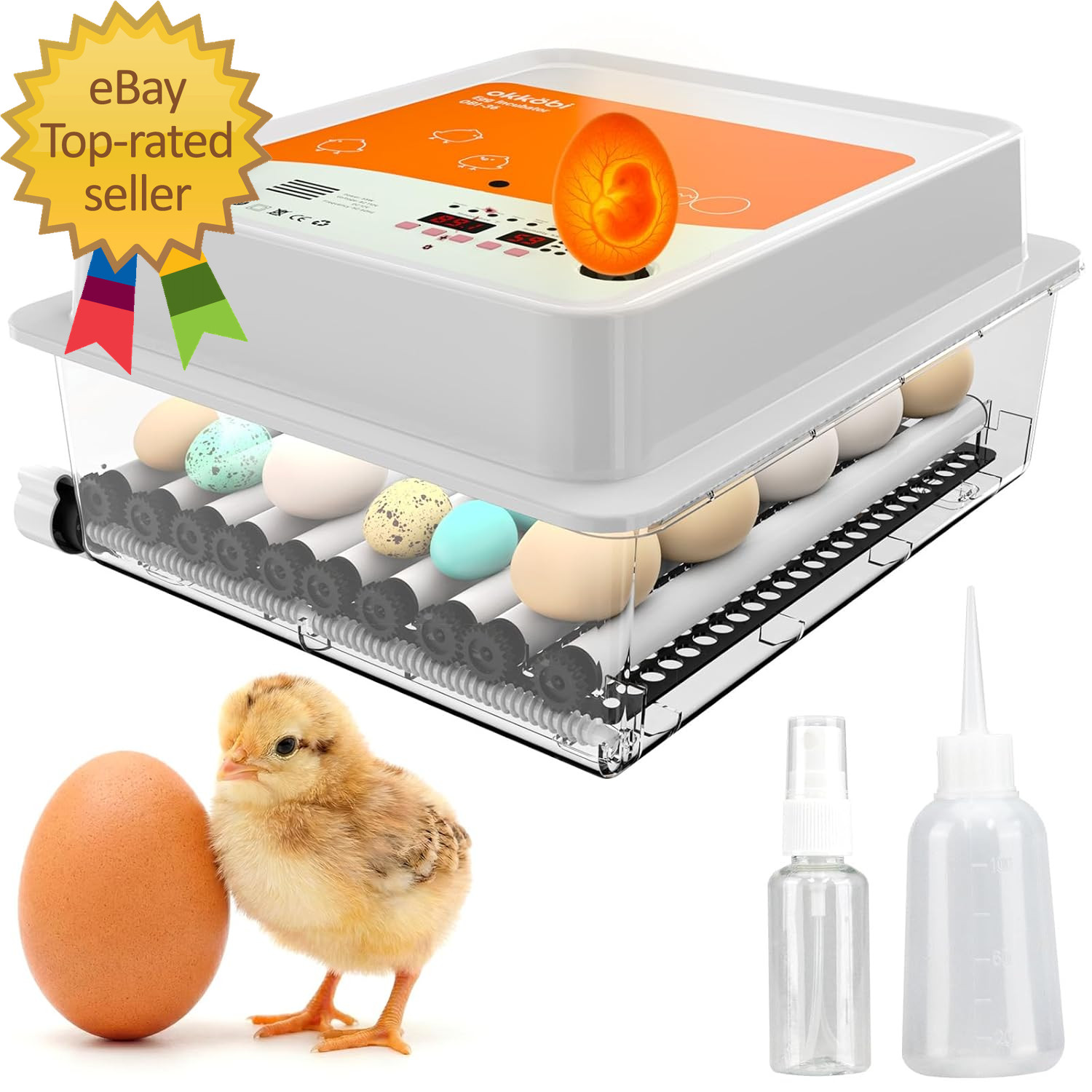 OBI-36 Egg Incubator for Hatching 36 Eggs Stable Temperature & Humidity Control