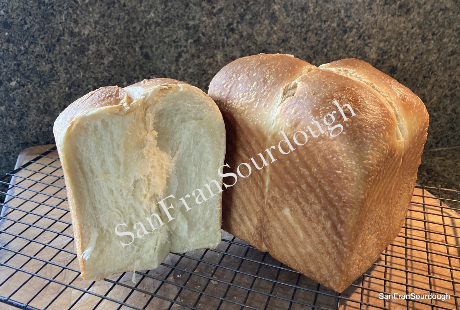 Active Dried Sourdough Starter San Francisco Yeast Bacteria baking bread