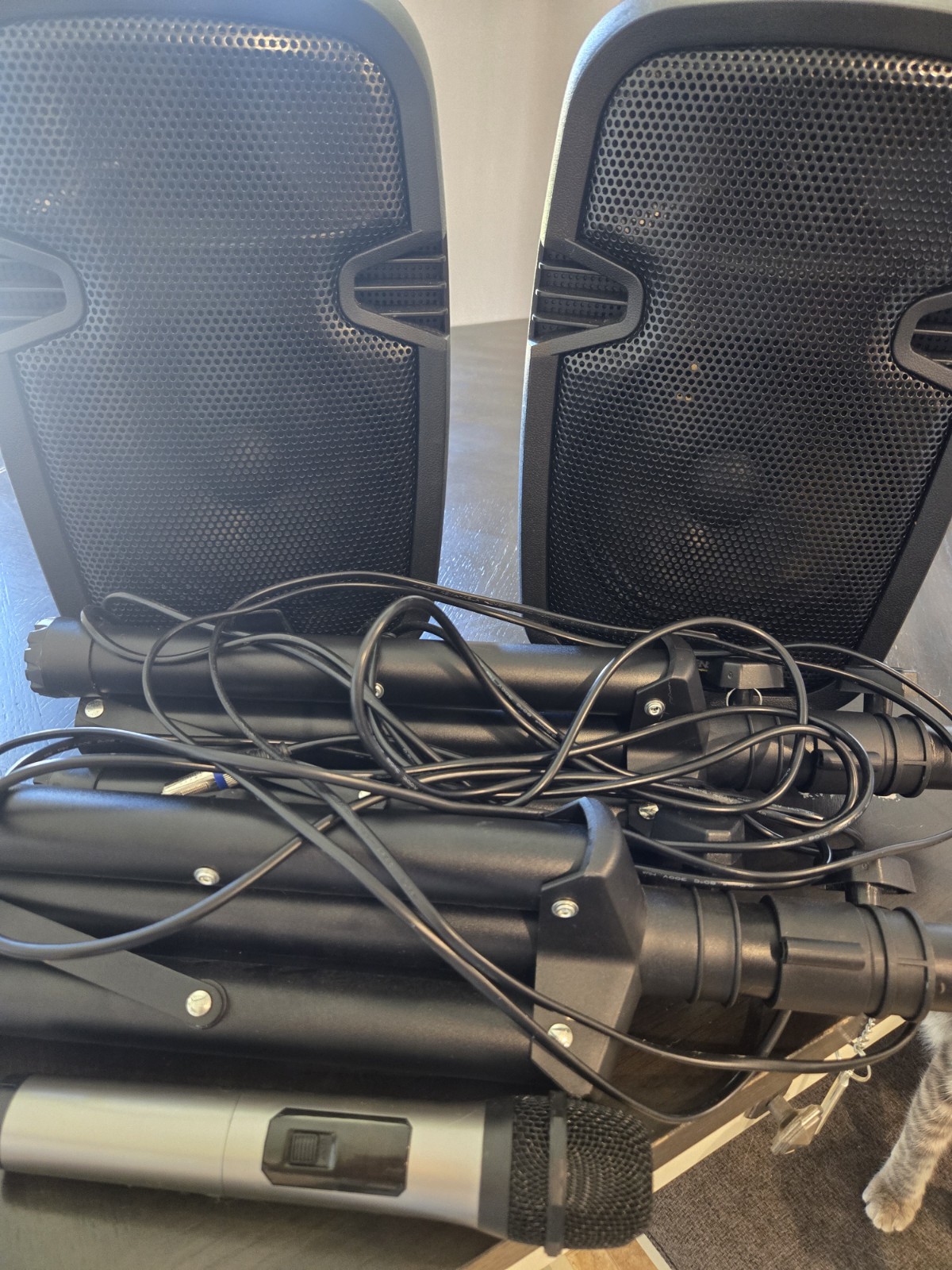 BOWENS SS1010 Karaoke Speaker Set USB AUX Echo, 2 Wired Mics, Stands/Cables