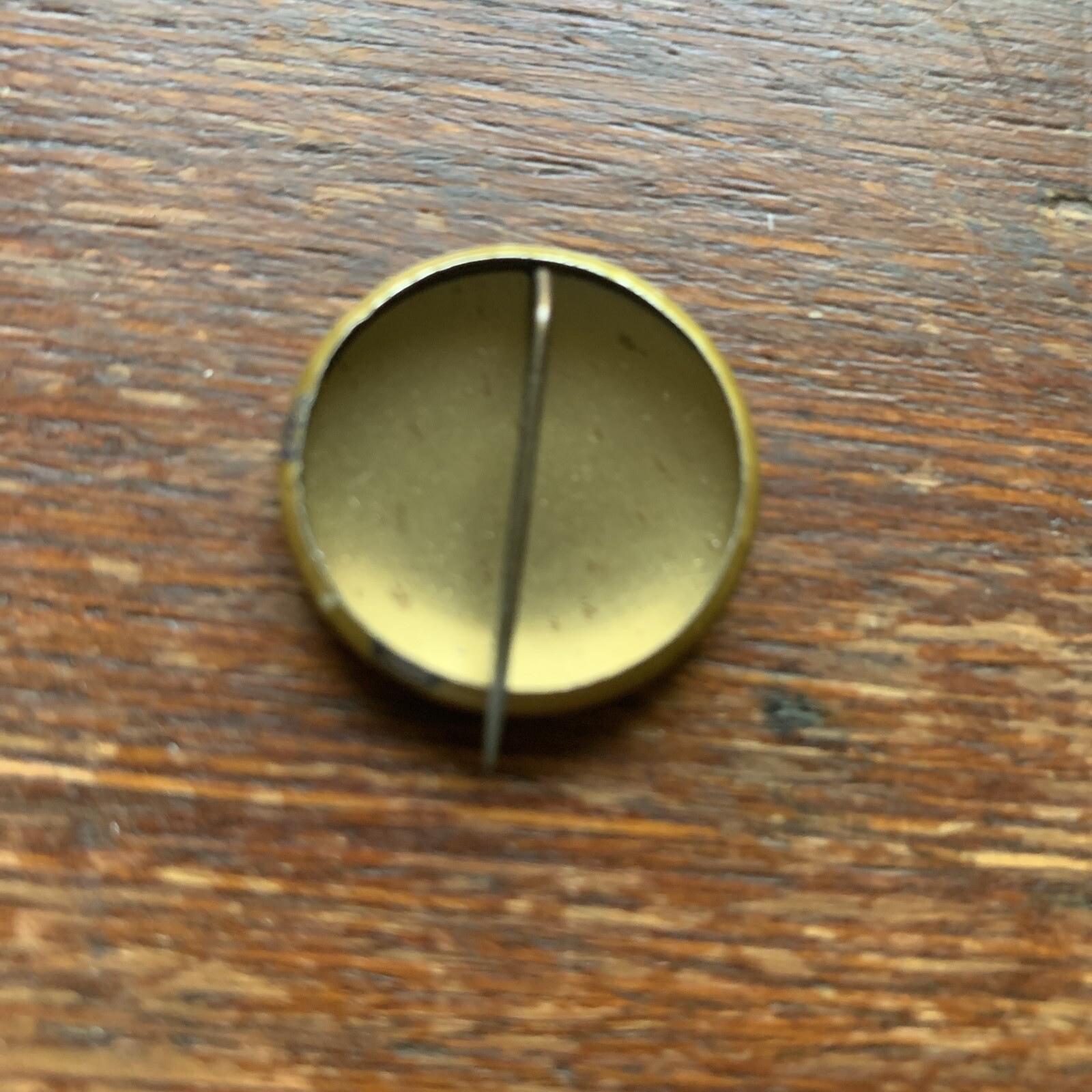 1960 Adali Stevenson Presidential Pinback Button