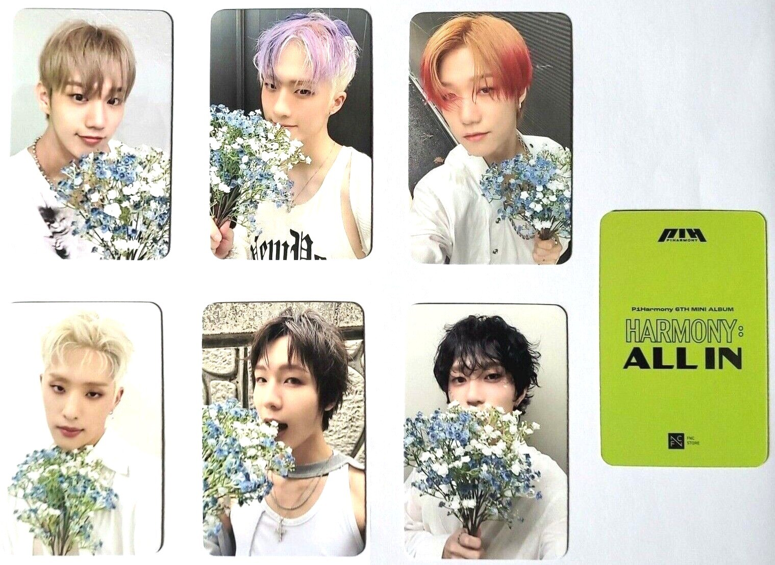 P1HARMONY 6TH MINI ALBUM ALL IN OFFICIAL P.O.B. PHOTOCARD (SELECT) [KPOPPIN USA]