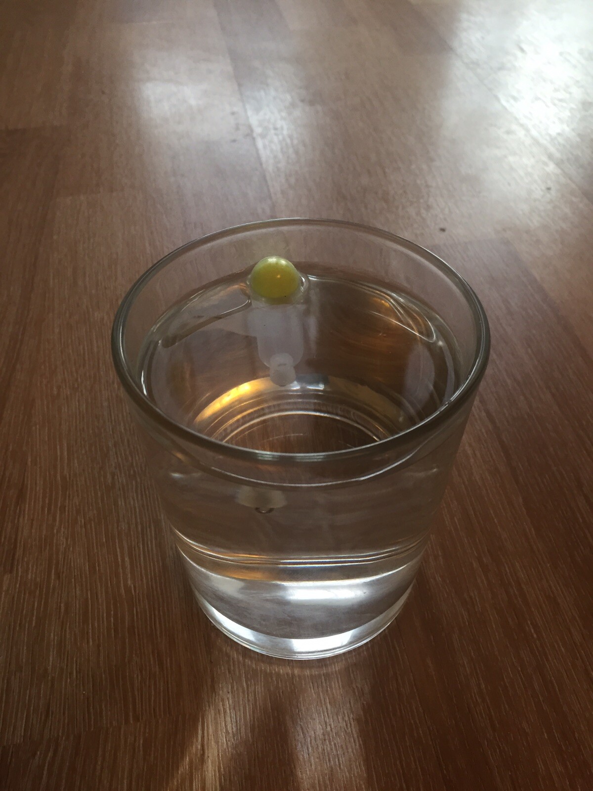 8 Gram Crystal Water Loaded Pellet waggler Floats