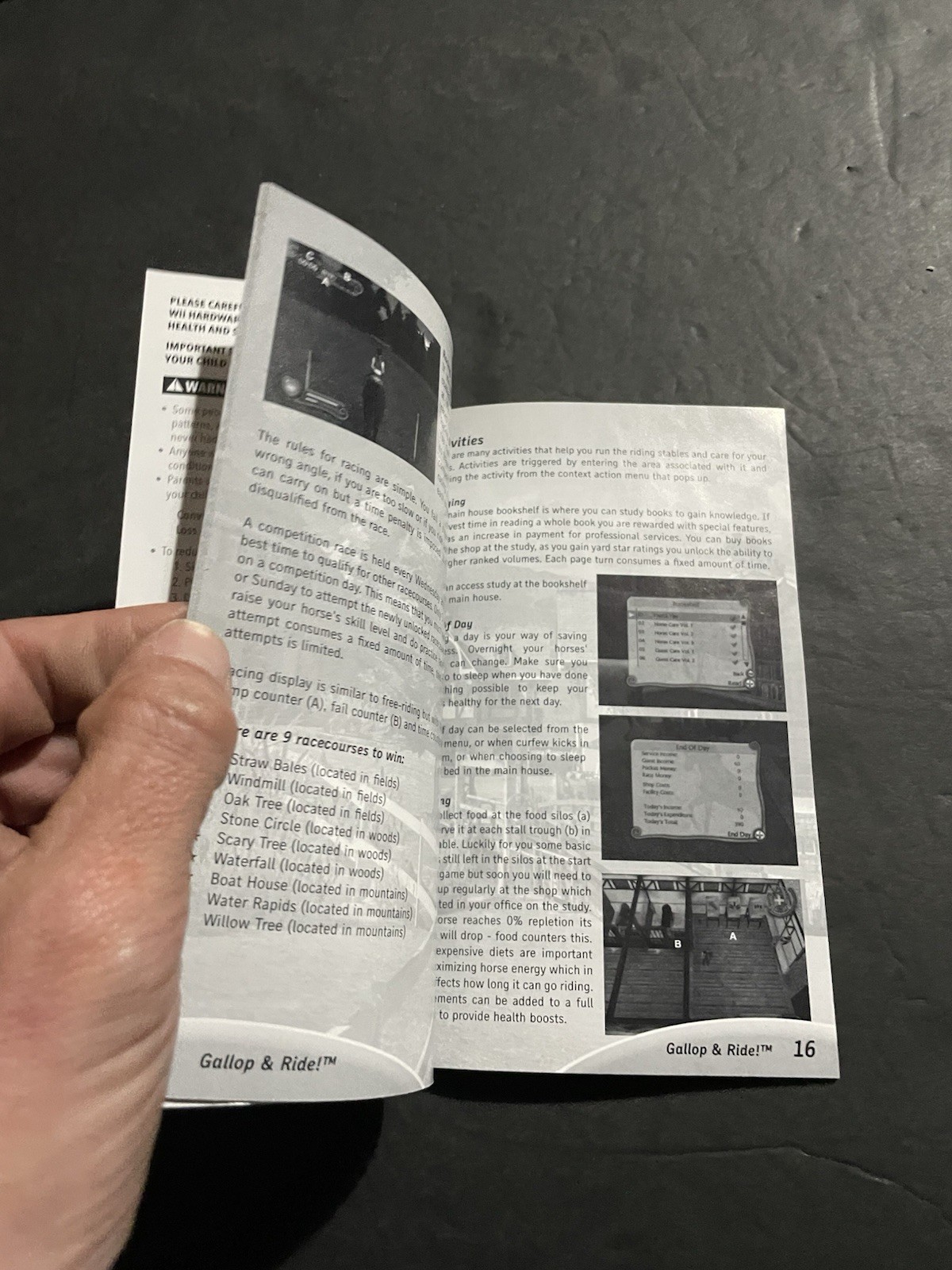 gallop and ride wii Manual only