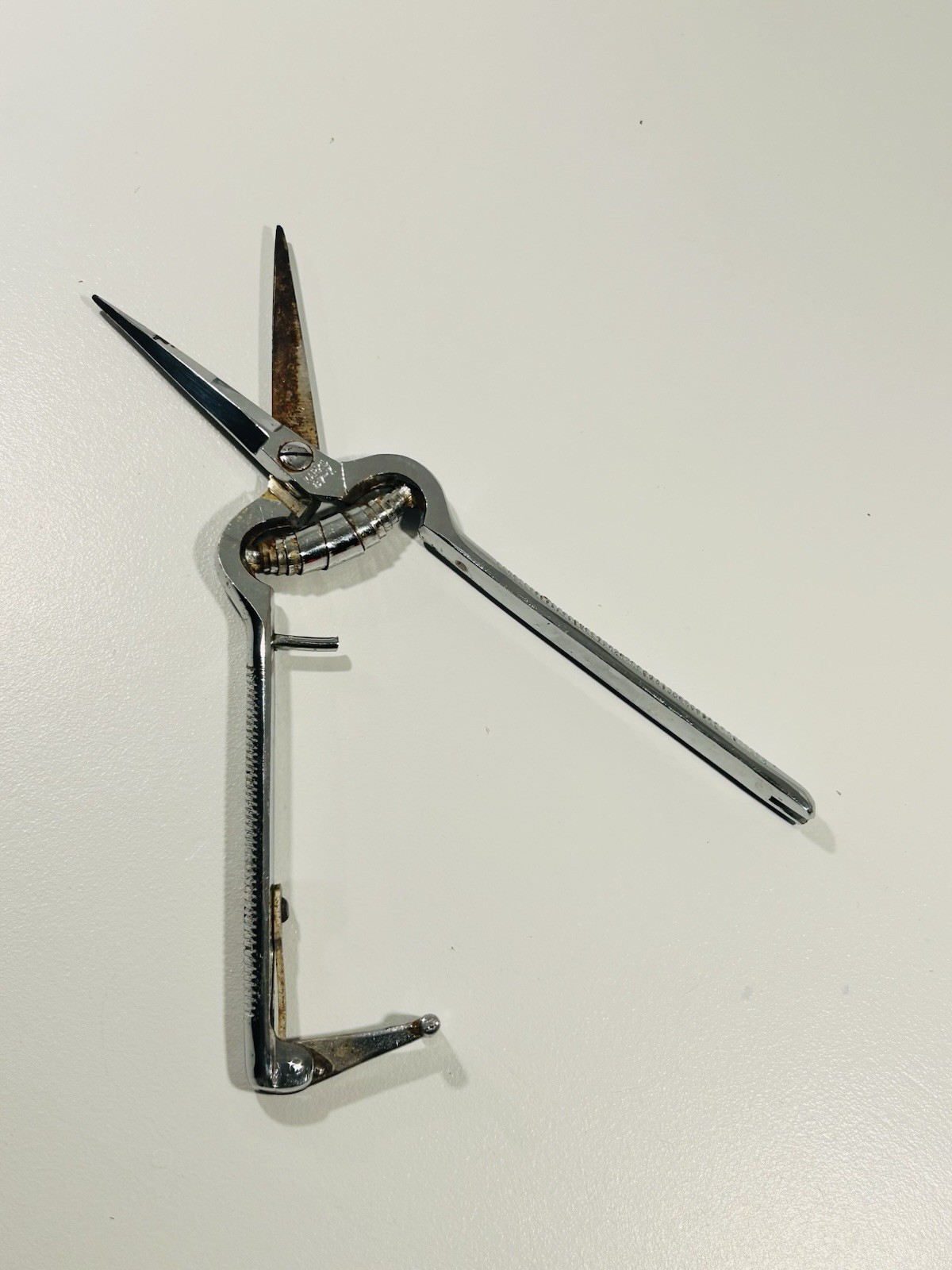 Vintage Japanese Poultry Shears Spring Hinge Kitchen Scissors