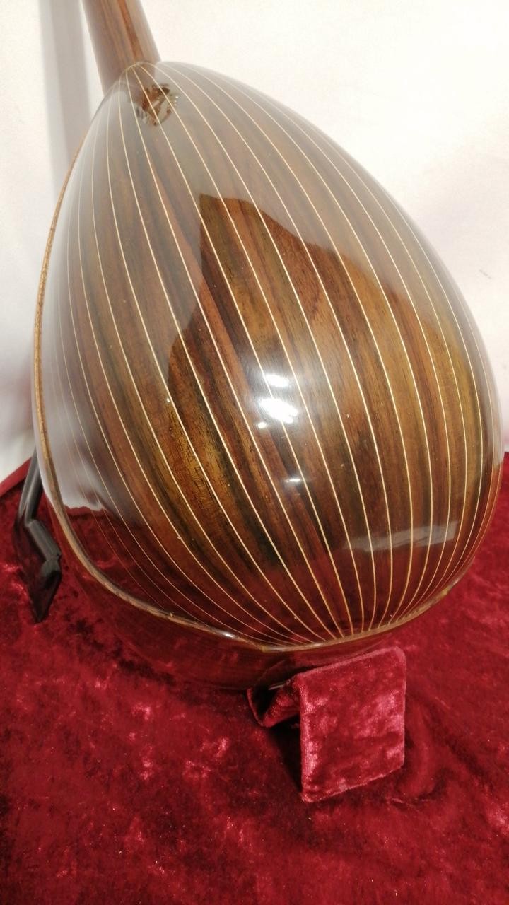 CALACE No.24 Mandolin