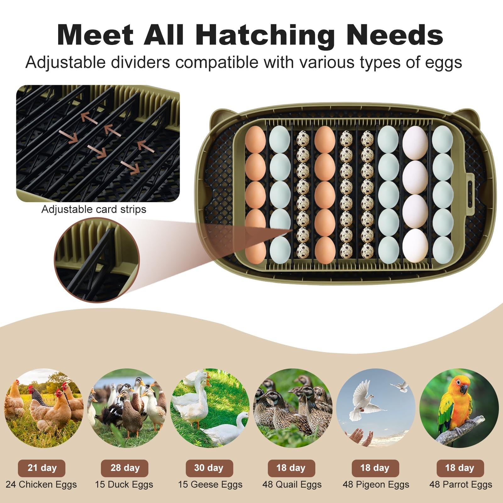 Incubators for Hatching Eggs,24 Egg Incubator with Automatic Egg Turning and ...