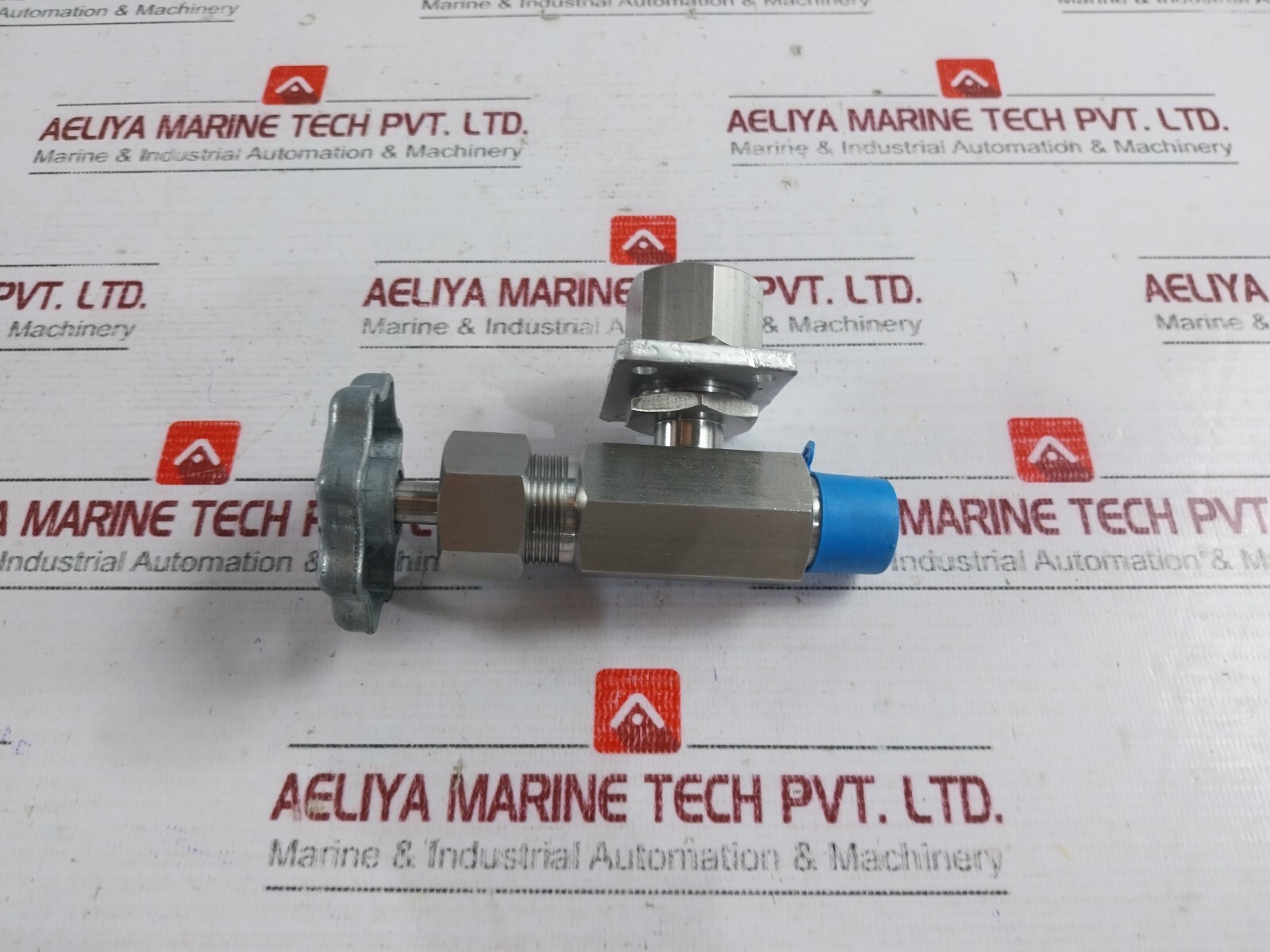 843825 Needle Valve BD302511