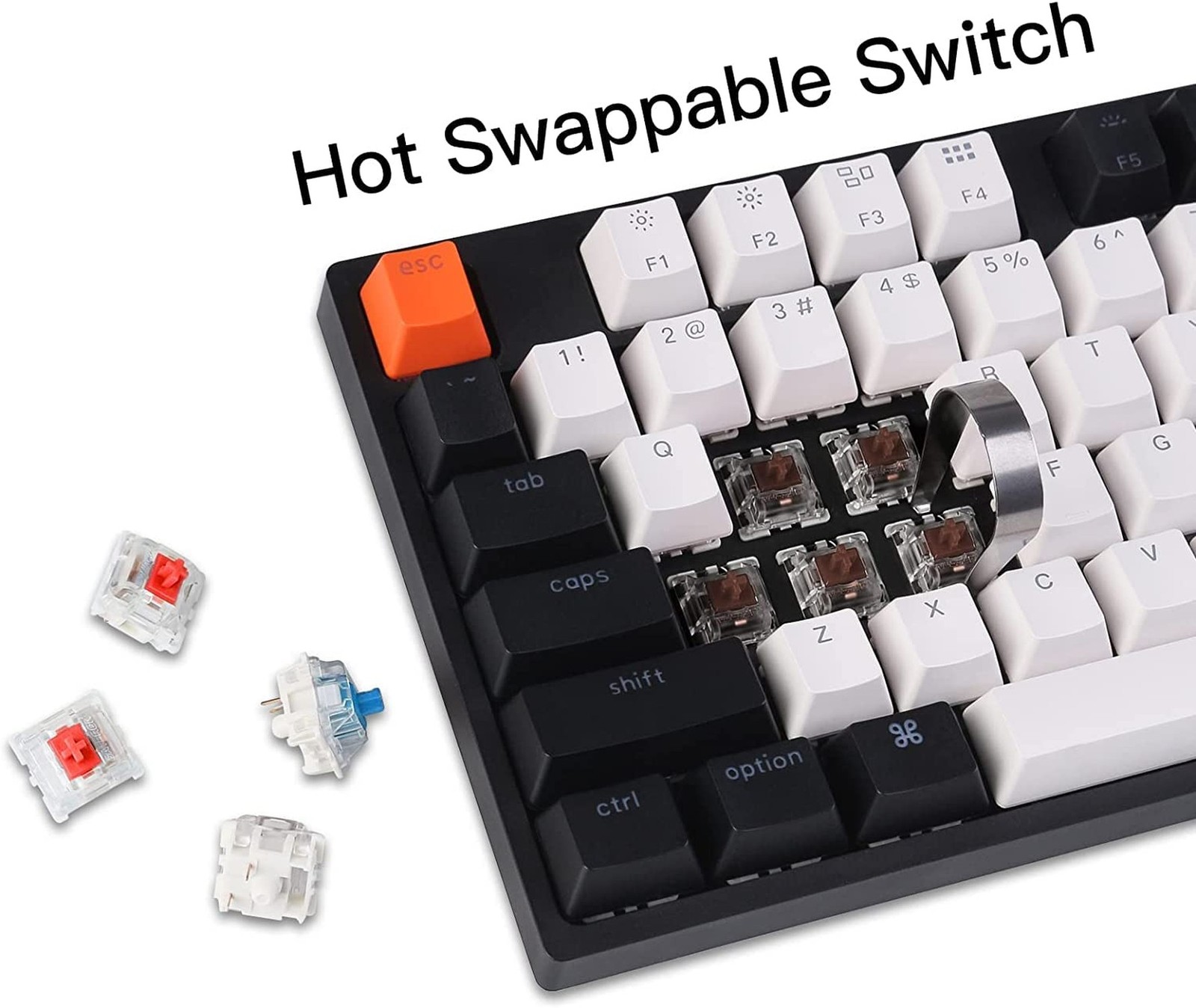 Keychron C2 104 Keys Full Size Wired Mechanical Keyboard for Mac Windows, Hot...