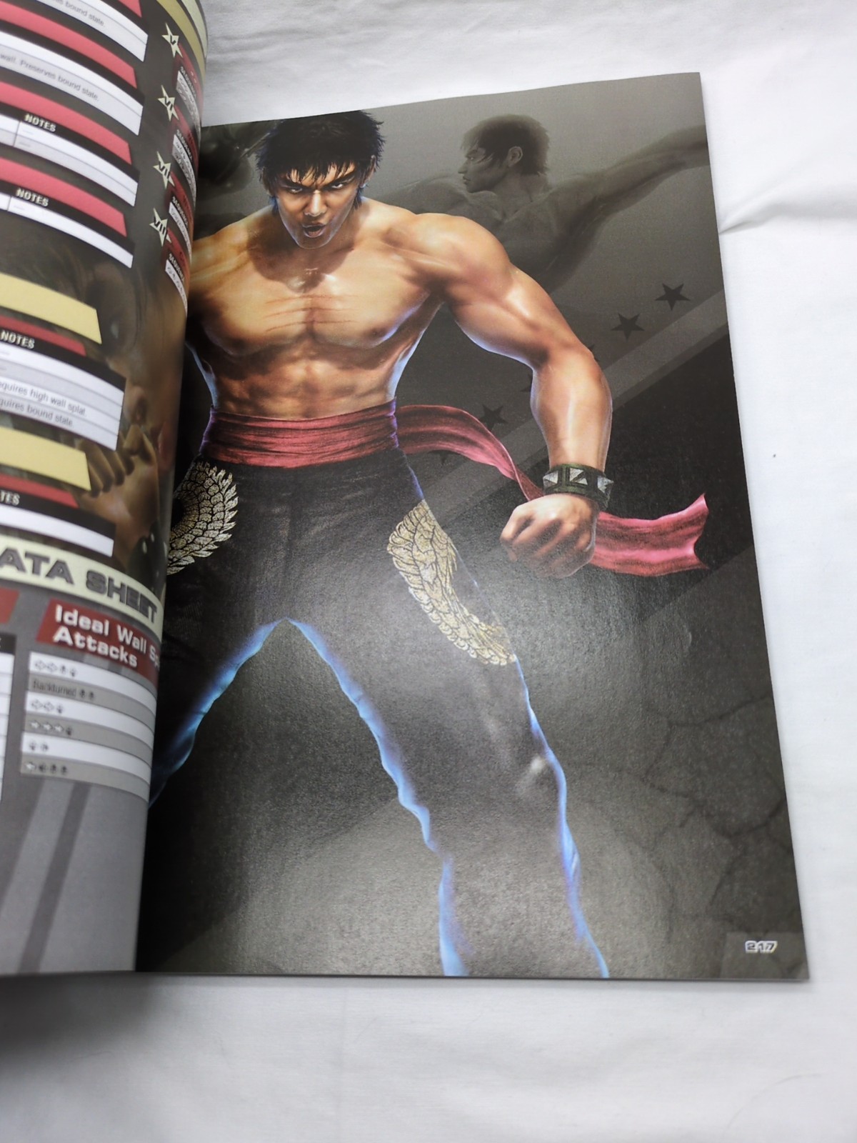 Tekken 6 Bradygames Strategy Guide Book