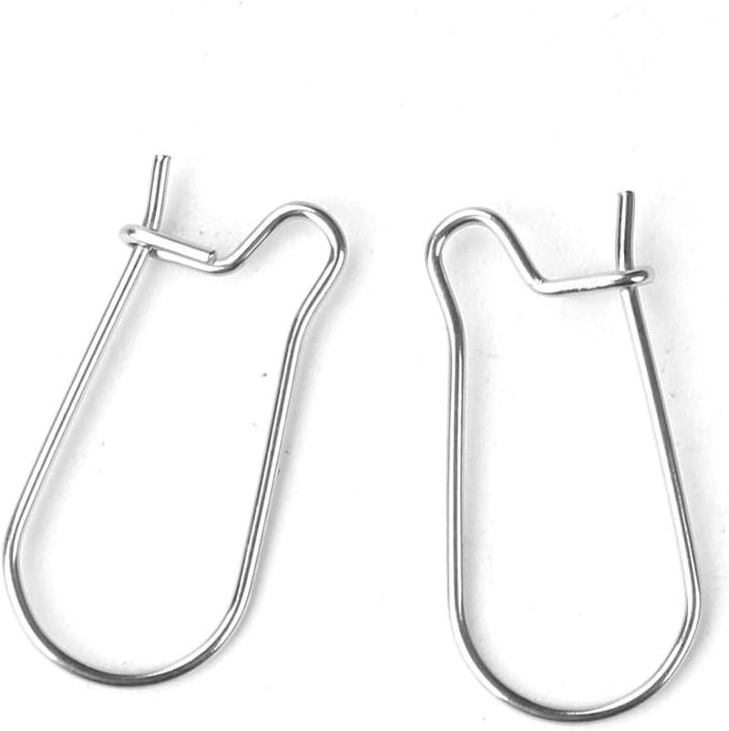 Stainless Steel Ear Wire Hooks, 48 Pack Earring Findings, Secure Lock Kidney Wir