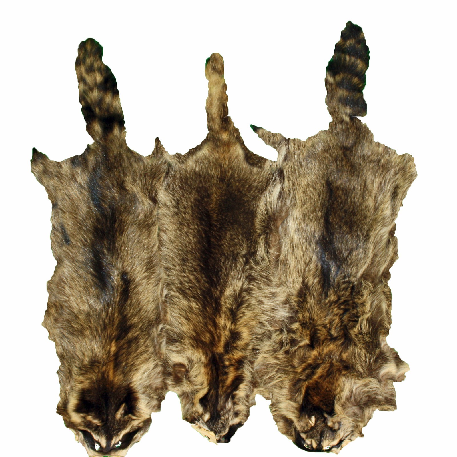 Glacier Wear Premium Label Raccoon Fur Pelt Hide Garment Canadian rcn1015