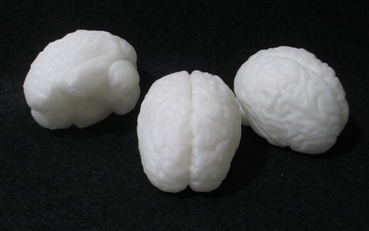 3 Glow in the Dark Brains - 3D Printed