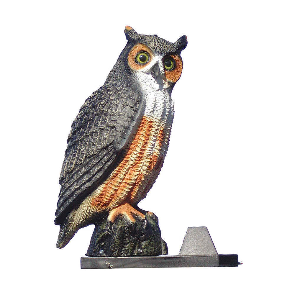 BIRD BARRIER SD-OWL2 Screech Decoy,22 in H,Brown/White 20YR38