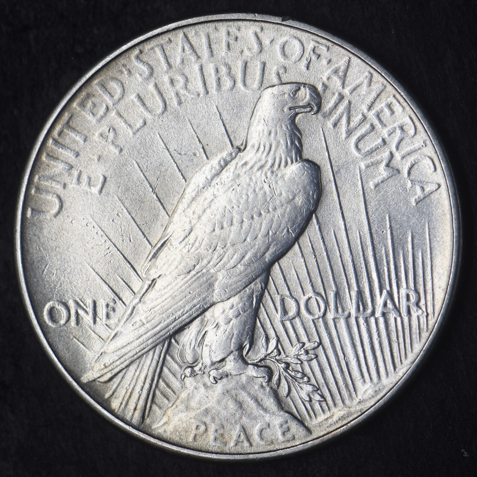 1934-P "High Grade" Peace Silver Dollar $1- COINGIANTS -