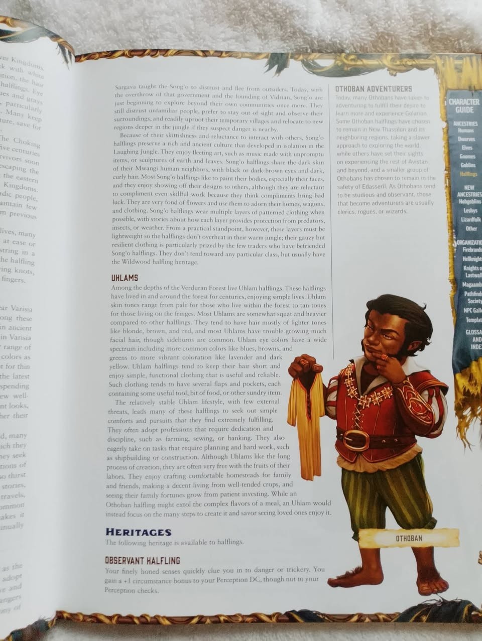 Pathfinder 2e Character Guide Hardback GOOD CONDITION