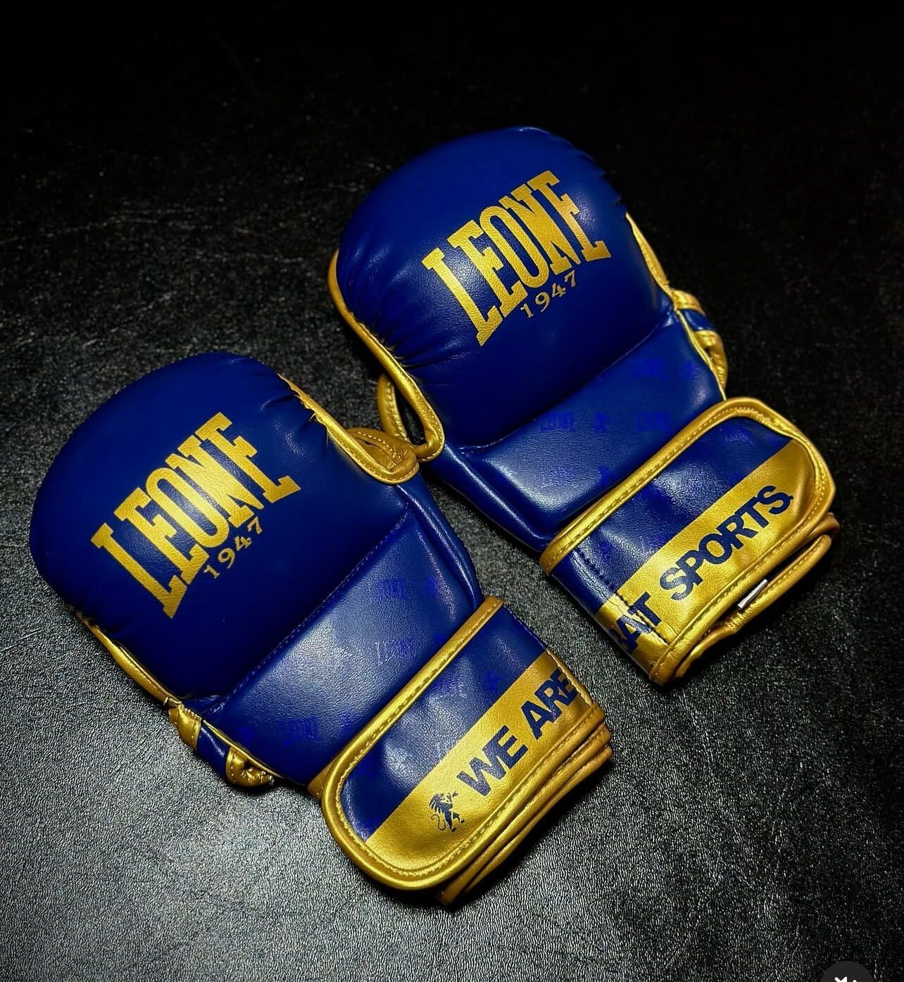 Leone MMA Shooter gloves, Fight Gloves