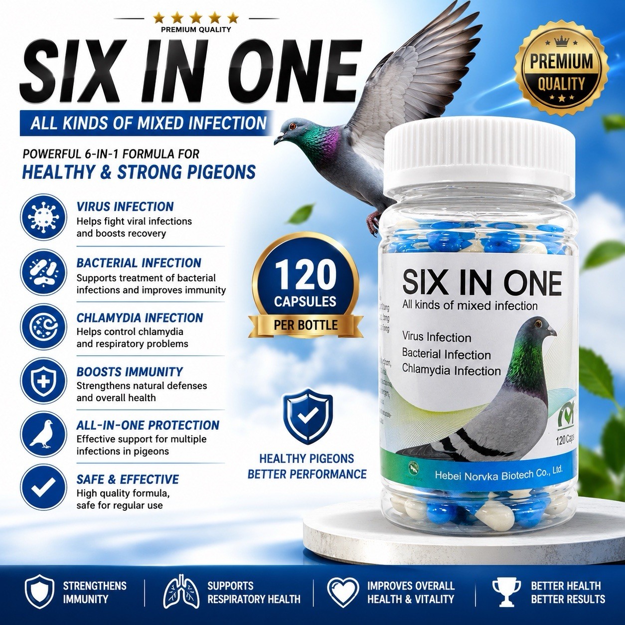 PIGEON SIX IN ONE