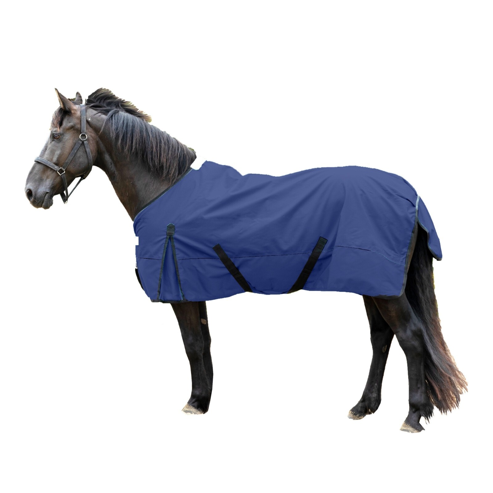 Waterproof 600 Denier Turnout Blanket - Winter Turnout Blanket - Free Shipping