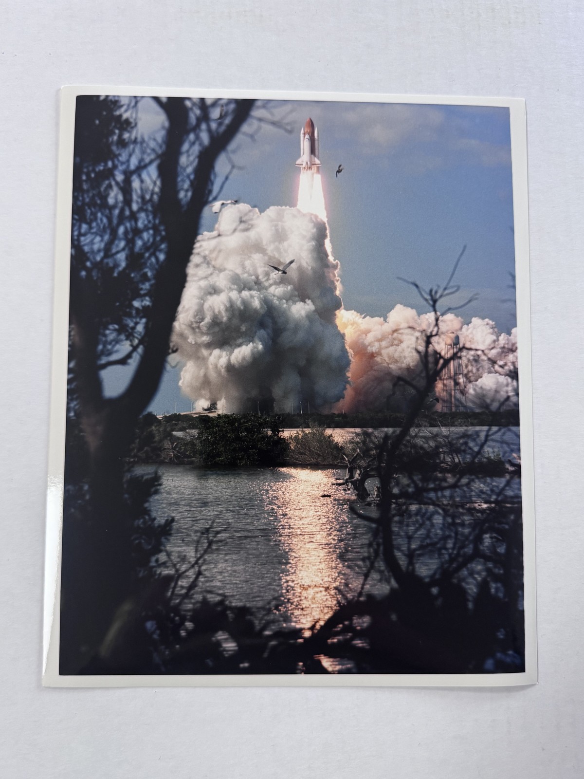 NASA STS-80 Columbia Crew Before Launch Press Photo D
