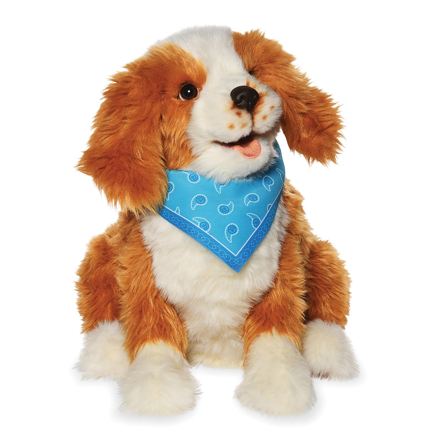 Companion Pet Dog Pup