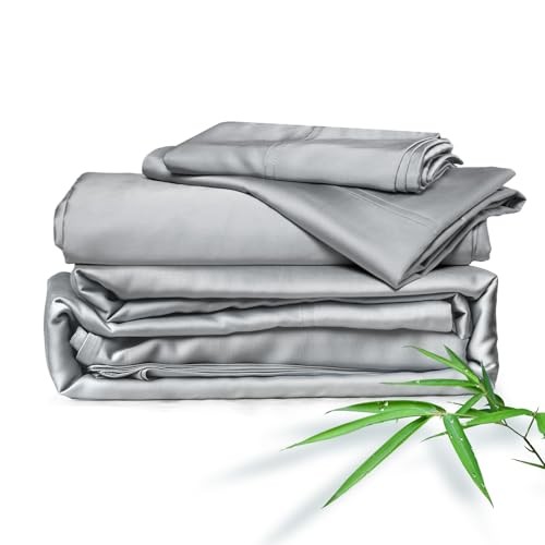 Sheets Bed Sheet Set, 100% Rayon derived from Bamboo, Luxuriously Queen Silver