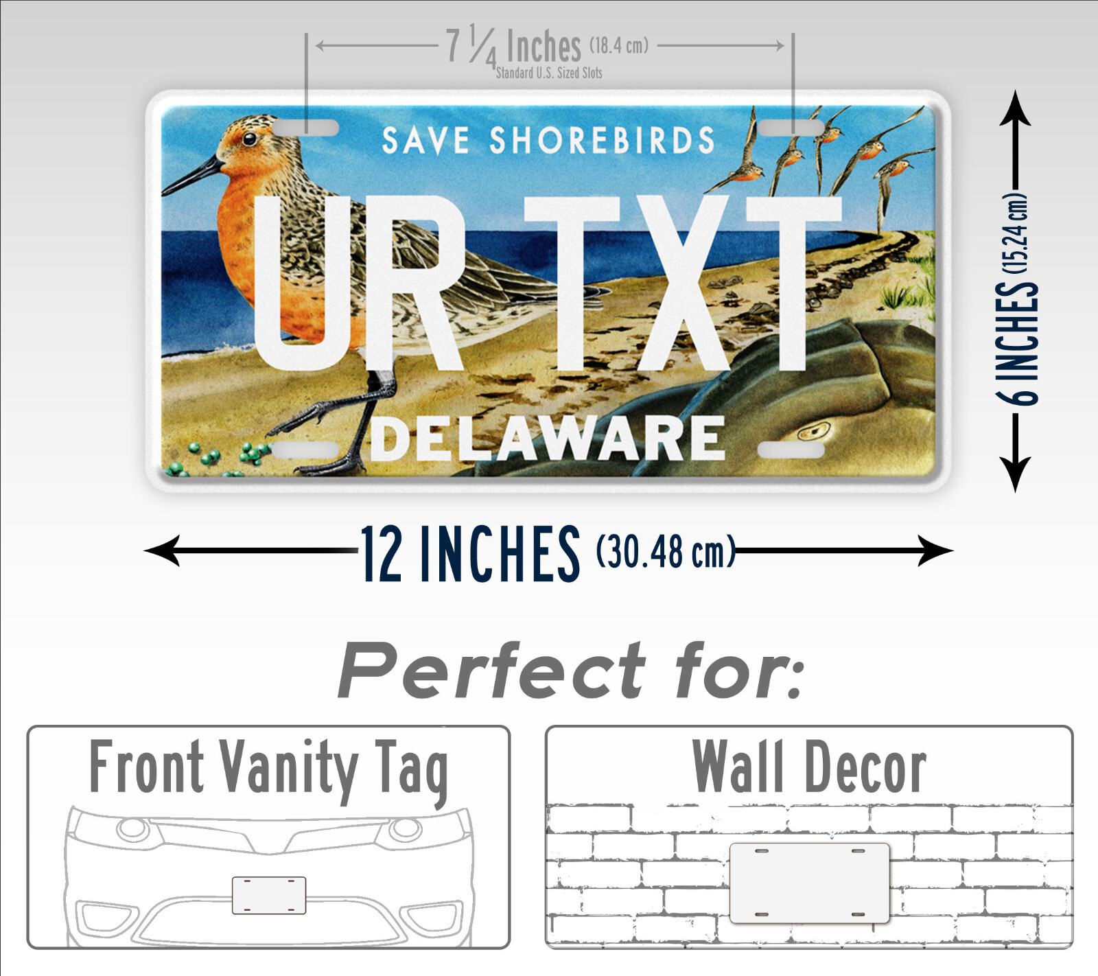 Personalized Delaware Save Shorebirds License Plate 6x12 CustomTag