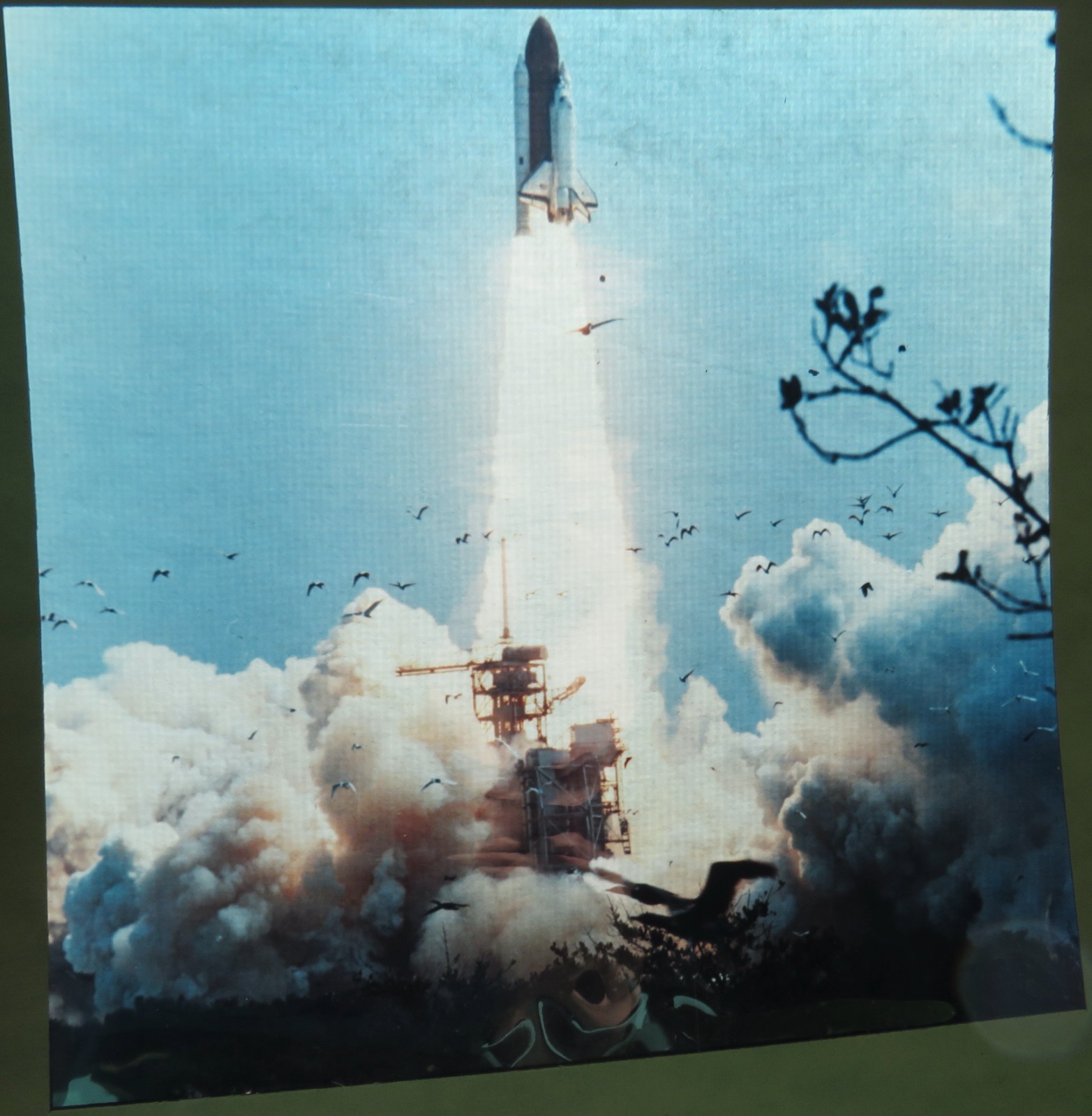 Photo Transparency Rockwell Int 8x10" Space Shuttle Launch Birds NASA 2602-A