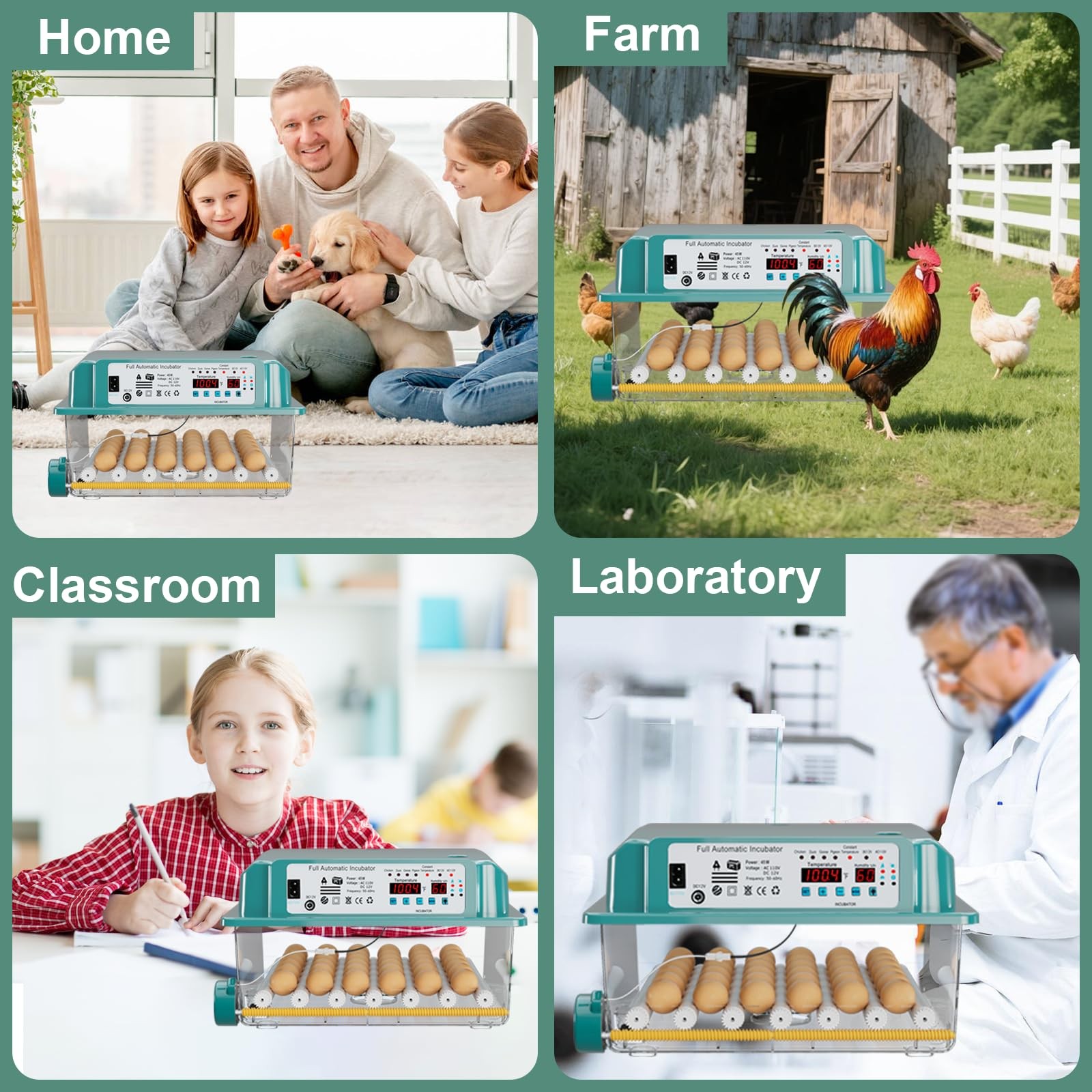 CoInceptus 36 Eggs Incubators Hatching Eggs,Egg Incubator 4 Automatic Incubate