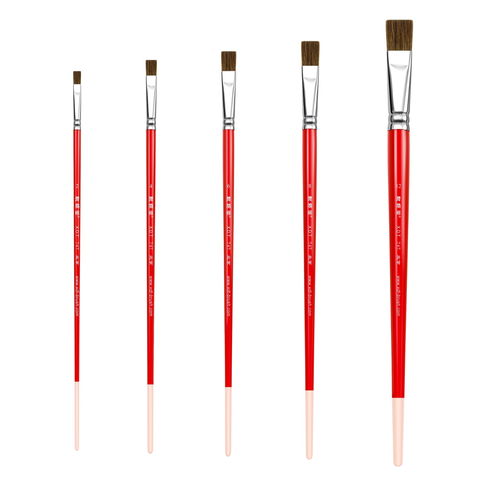 XDT#747 Flat Tip Art Brush Set 5Pc #2#4#6#8#12 Sable Acrylic Oil Watercolor