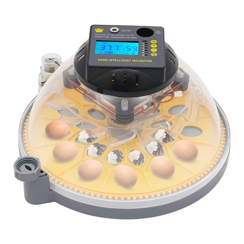 12 Eggs Automatic Incubator Egg Turning & Humidity Control For Hatching Eggs
