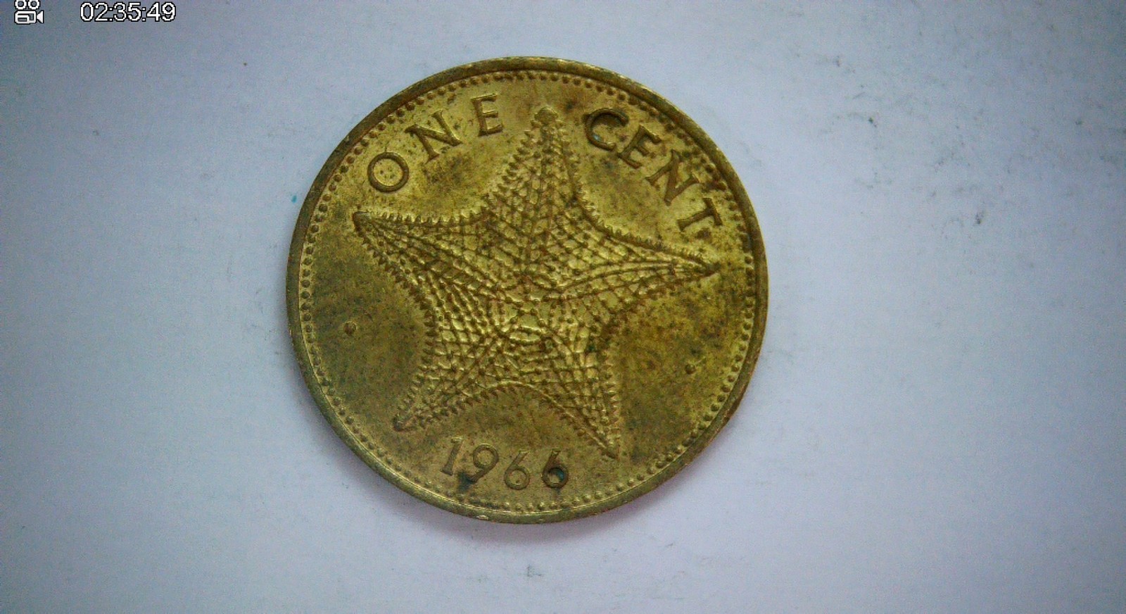 Bahamas 1966 1 Cent Bahamas Starfish cent (Elizabeth II) Coin