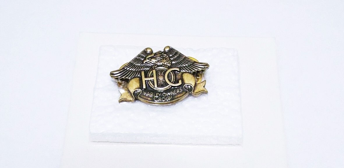 ( 2 pc ) HARLEY DAVIDSON PATCH & MATCHING PIN OWNERS GROUP HOG