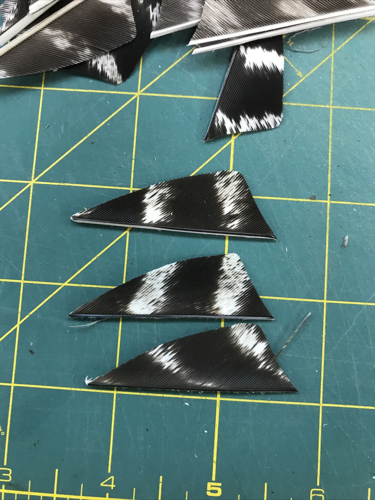 2" Left Wing Shield Natural Barred Feather Fletching, 25Pk Archery 🇺🇸