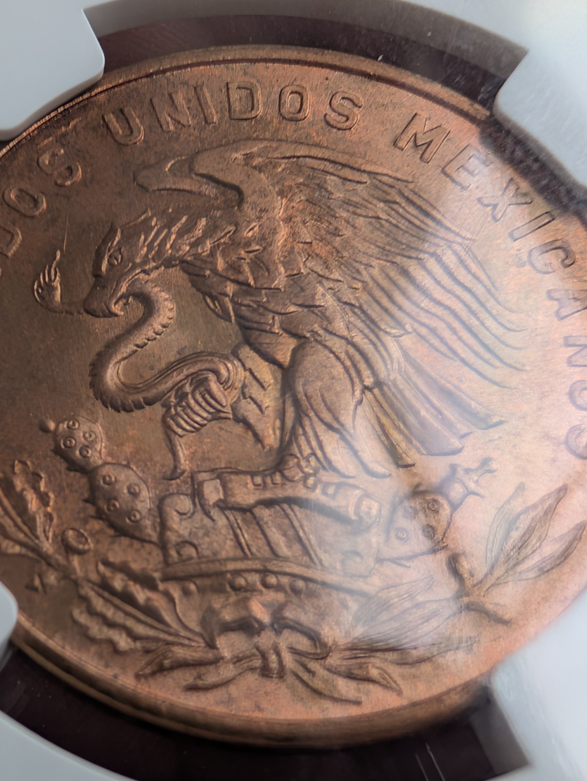 1959 MO Mexico 20 Centavos ~ NGC graded MS 66 RB