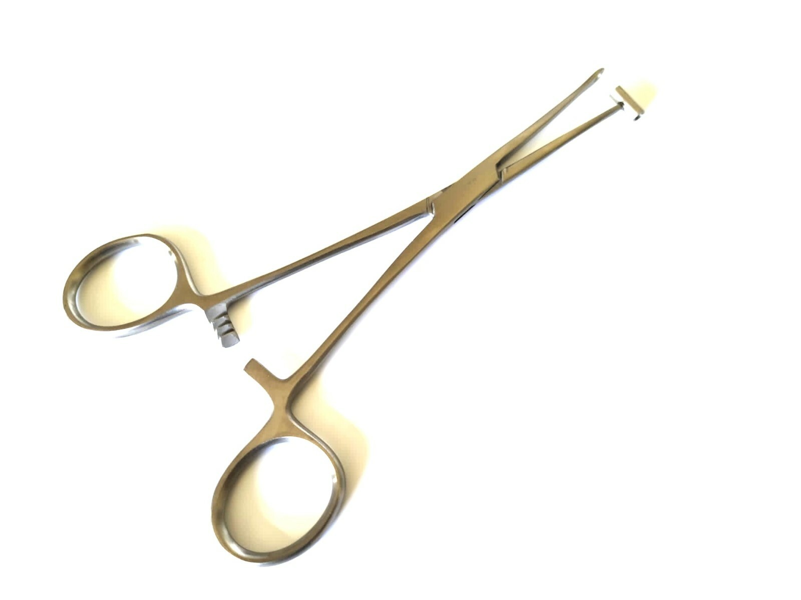 Open Bucket End Tragus Type Forceps 6" Body Piercing Tool