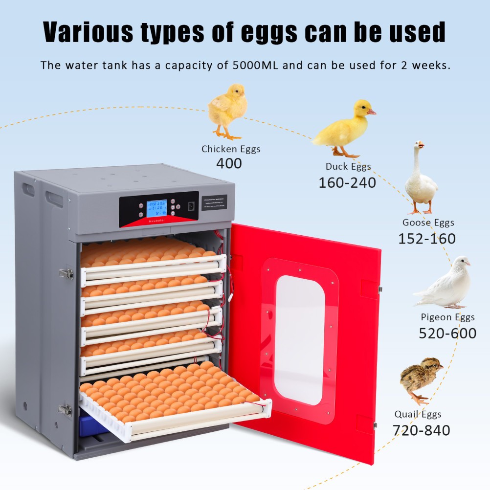 400 Egg Incubator Automatic Egg Turning & Temperature Control Digital Incubators