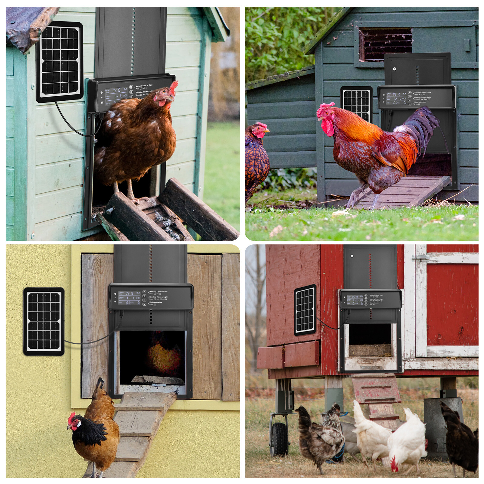 Automatic Chicken Coop Door Solar Powered Poultry Gate w/ Light Sensor/ Timer