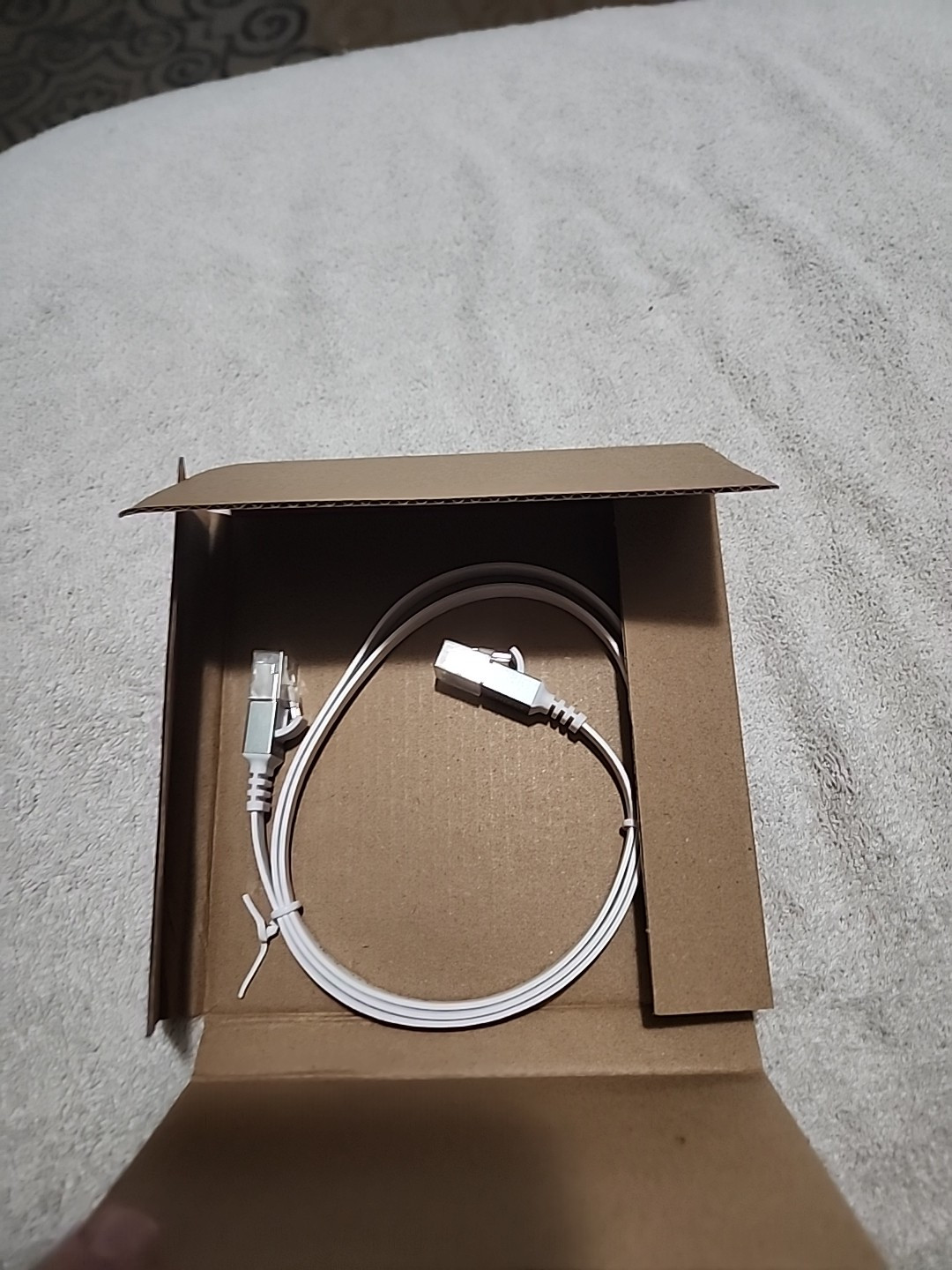 Ethernet Cable 3 Foot