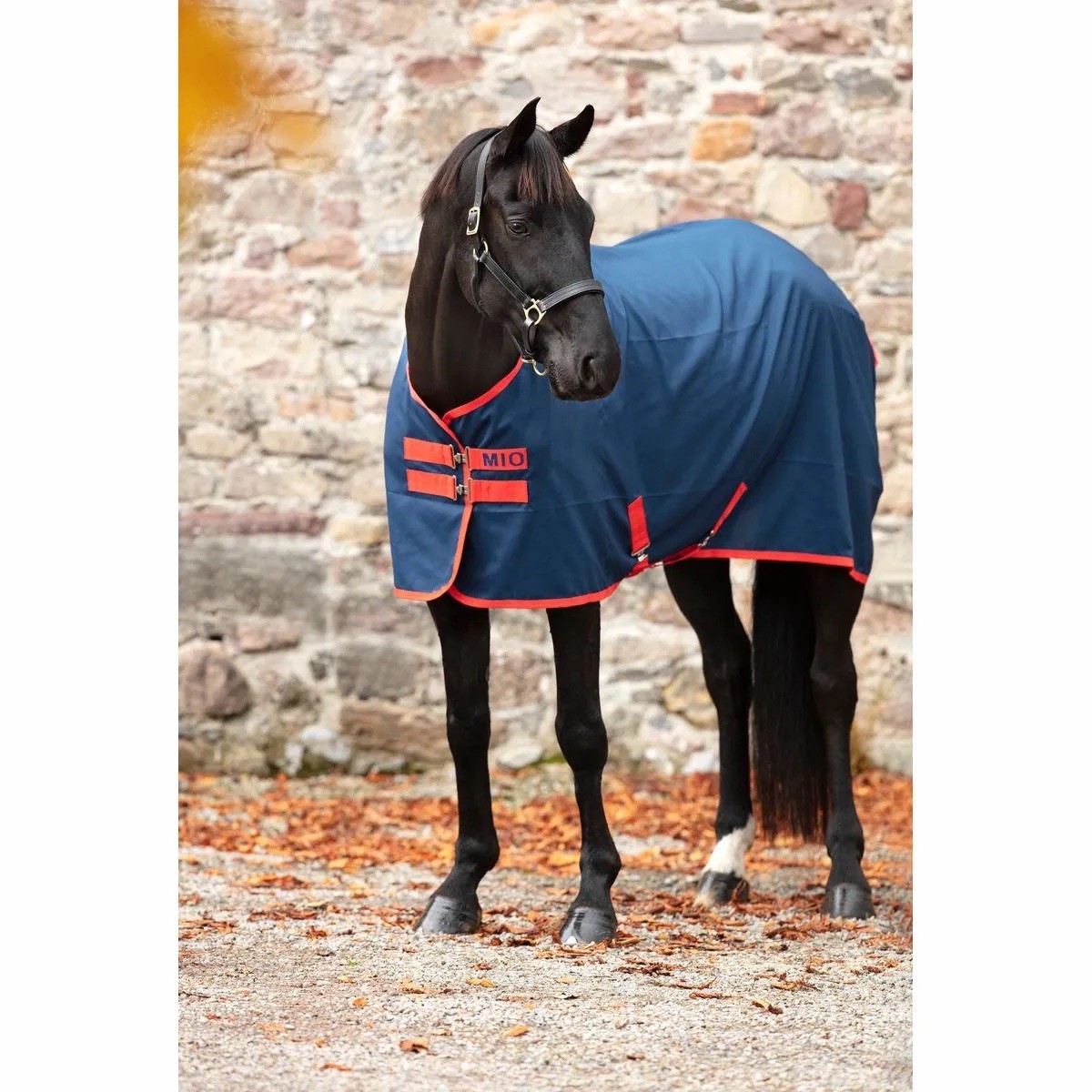 Mio Stable Sheet - Navy/Red- 84”